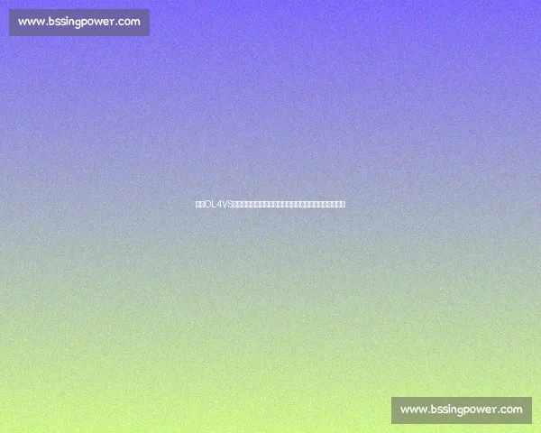 基于OL4VS模型的应用与优化研究:提升智能算法性能与实用性分析