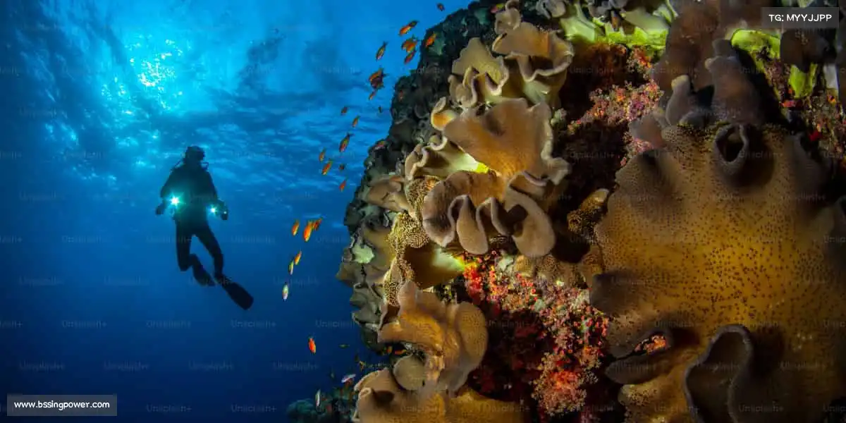 米兰体育🚣♀️逆流而上,向阳而行 —— 用体育的力量,划向属于你的星辰大海!
