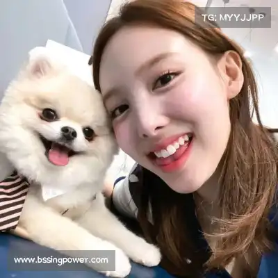 舒舜飚
